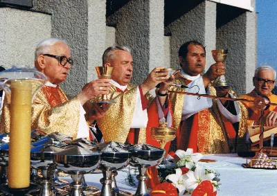 Figura Matki Bożej Fatimskiej została sprowadzona do kościoła Najświętszego Serca Pana Jezusa w Rzeszowie (od 1992 r. katedry) w 1982 r. z Fatimy. Koronacja figury odbyła się 13 czerwca 1993 r. Koronacji dokonał bp Kazimierz Górny wspólnie z bp. Julianem Groblickim i bp. Edwardem Białogłowskim. 