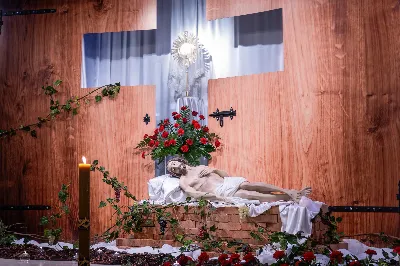 fot. Joanna Prasoł