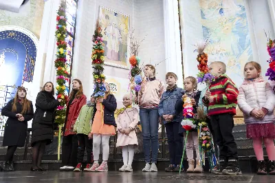 W Niedzielę Palmową uroczystej Mszy Świętej z procesją z palmami przewodniczył ks. Krzysztof Gołąbek - proboszcz Katedry. Po Mszy Świętej odbył się konkurs na najpiękniejszą palmę. Wygrała palma przygotowana przez młodzież z katedralnej Oazy. Choć zwycięzca mógł być tylko jeden, to każda z zaprezentowanych palm została doceniona.  fot. Joanna Prasoł