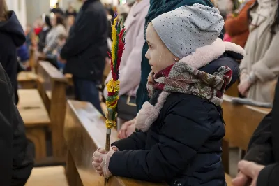 W Niedzielę Palmową uroczystej Mszy Świętej z procesją z palmami przewodniczył ks. Krzysztof Gołąbek - proboszcz Katedry. Po Mszy Świętej odbył się konkurs na najpiękniejszą palmę. Wygrała palma przygotowana przez młodzież z katedralnej Oazy. Choć zwycięzca mógł być tylko jeden, to każda z zaprezentowanych palm została doceniona.  fot. Joanna Prasoł