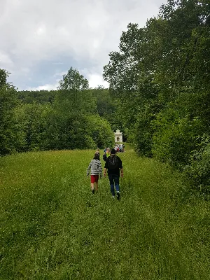 W czwartek 22.06.2017 r. dzieci, które w tym roku przystąpiły do I Komunii Świętej, udały się wraz z ks. Julianem i s. Karolą na pielgrzymkę dziękczynną do Kalwarii Pacławskiej i Przemyśla.