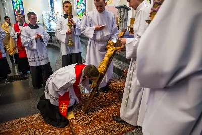 fot. fotografiarzeszow (Dariusz Kamiński)