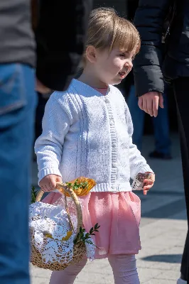 fot. Joanna Prasoł