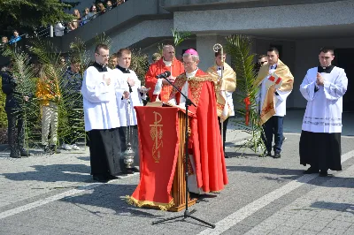 W Niedzielę Palmową młodzież diecezji rzeszowskiej modliła się z bp. Janem Wątrobą w Rzeszowie.  Rzeszowskie spotkanie rozpoczęło się o godz. 11.00 przy obelisku w centrum Parku Papieskiego. Tam odbył się konkurs na najdłuższą palmę, który prowadził ks. Krzysztof Golas, diecezjalny duszpasterz młodzieży. Najdłuższe palmy przekraczały 10 metrów wysokości.  Na placu przed katedrą odbyła się pierwsza część liturgii Niedzieli Palmowej, podczas której zebrani wysłuchali Ewangelię o wjeździe Jezusa do Jerozolimy, a bp Wątroba pobłogosławił palmy.  Już w katerze odbyła się Msza św., której przewodniczył biskup rzeszowski. Eucharystię koncelebrowało ponad dwudziestu księży, głównie duszpasterze młodzieży.  fot. Andrzej Kotowicz, Olga Cyburt