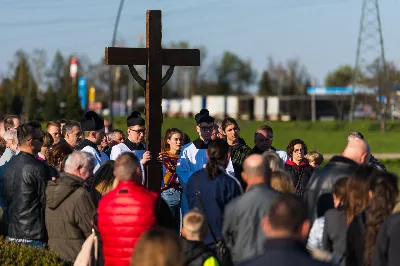 fot. fotografiarzeszow (Dariusz Kamiński)