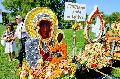 W niedzielę 25.08.2019 r. przy Katedrze Rzeszowskiej odbyły się Dożynki Diecezjalne. Do Parku Papieskiego przyjechało 73 delegacje z wieńcami dożynkowymi. fot. Andrzej Kotowicz