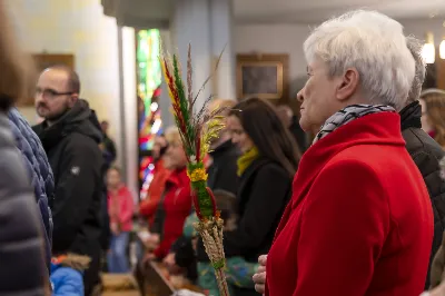 W Niedzielę Palmową uroczystej Mszy Świętej z procesją z palmami przewodniczył ks. Krzysztof Gołąbek - proboszcz Katedry. Po Mszy Świętej odbył się konkurs na najpiękniejszą palmę. Wygrała palma przygotowana przez młodzież z katedralnej Oazy. Choć zwycięzca mógł być tylko jeden, to każda z zaprezentowanych palm została doceniona.  fot. Joanna Prasoł