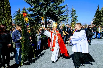 fot. Andrzej Kotowicz