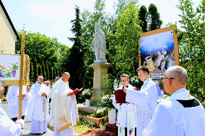 fot. Andrzej Kotowicz