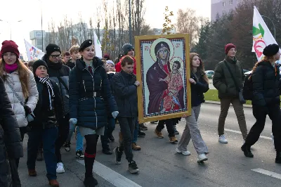 29 listopada 2022 r. w uroczystość Jezusa Chrystusa Króla Wszechświata obchodzony był Światowy Dzień Młodzieży na szczeblu diecezjalnym. Ponad 1200 młodych z całej diecezji, a także członkowie Katolickiego Stowarzyszenia Młodzieży i Akcji Katolickiej z okazji swojego patronalnego święta spotkali się w kościele katedralnym w Rzeszowie. Eucharystii przewodniczył bp Jan Wątroba. Po liturgii uczestnicy uroczystości przeszli ulicami miasta w radosnym korowodzie, by spotkać się w siedzibie Uniwersytetu Rzeszowskiego na wspólnej agapie i modlitwie.