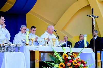 W niedzielę 25.08.2019 r. przy Katedrze Rzeszowskiej odbyły się Dożynki Diecezjalne. Do Parku Papieskiego przyjechało 73 delegacje z wieńcami dożynkowymi. fot. Andrzej Kotowicz