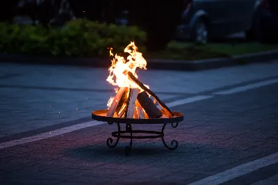 fot. fotografiarzeszow (Dariusz Kamiński)