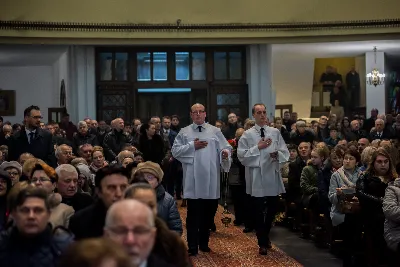 fot. fotografiarzeszow (Dariusz Kamiński)