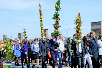 W Niedzielę Palmową młodzież diecezji rzeszowskiej modliła się z bp. Janem Wątrobą w Rzeszowie.  Rzeszowskie spotkanie rozpoczęło się o godz. 11.00 przy obelisku w centrum Parku Papieskiego. Tam odbył się konkurs na najdłuższą palmę, który prowadził ks. Krzysztof Golas, diecezjalny duszpasterz młodzieży. Najdłuższe palmy przekraczały 10 metrów wysokości.  Na placu przed katedrą odbyła się pierwsza część liturgii Niedzieli Palmowej, podczas której zebrani wysłuchali Ewangelię o wjeździe Jezusa do Jerozolimy, a bp Wątroba pobłogosławił palmy.  Już w katerze odbyła się Msza św., której przewodniczył biskup rzeszowski. Eucharystię koncelebrowało ponad dwudziestu księży, głównie duszpasterze młodzieży.  fot. Andrzej Kotowicz, Olga Cyburt