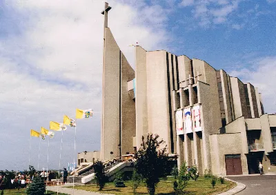 Figura Matki Bożej Fatimskiej została sprowadzona do kościoła Najświętszego Serca Pana Jezusa w Rzeszowie (od 1992 r. katedry) w 1982 r. z Fatimy. Koronacja figury odbyła się 13 czerwca 1993 r. Koronacji dokonał bp Kazimierz Górny wspólnie z bp. Julianem Groblickim i bp. Edwardem Białogłowskim. 