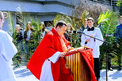 W Niedzielę Palmową młodzież diecezji rzeszowskiej modliła się z bp. Janem Wątrobą w Rzeszowie.  Rzeszowskie spotkanie rozpoczęło się o godz. 11.00 przy obelisku w centrum Parku Papieskiego. Tam odbył się konkurs na najdłuższą palmę, który prowadził ks. Krzysztof Golas, diecezjalny duszpasterz młodzieży. Najdłuższe palmy przekraczały 10 metrów wysokości.  Na placu przed katedrą odbyła się pierwsza część liturgii Niedzieli Palmowej, podczas której zebrani wysłuchali Ewangelię o wjeździe Jezusa do Jerozolimy, a bp Wątroba pobłogosławił palmy.  Już w katerze odbyła się Msza św., której przewodniczył biskup rzeszowski. Eucharystię koncelebrowało ponad dwudziestu księży, głównie duszpasterze młodzieży.  fot. Andrzej Kotowicz, Olga Cyburt