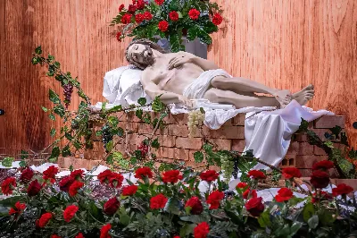 fot. Joanna Prasoł