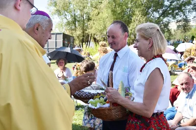 30 sierpnia 2020 r. do Parku Papieskiego w Rzeszowie na diecezjalne dożynki przyjechało 49 delegacji z dożynkowymi wieńcami.  Już o godz. 11.00 plac przed znajdującą się w Parku Papieskim sceną wypełniły delegacje z parafii diecezji rzeszowskiej. W sumie zarejestrowano 49 delegacje. Tegoroczną obsługę dożynek, w tym przygotowanie liturgii, zapewnili wierni i duszpasterze z dekanatu Sokołów Małopolski. O godz. 11.30 prof. Kazimierz Ożóg, mieszkaniec Górna, zaprezentował kilka myśli na temat chleba i godności pracy rolnika. Na scenie wystąpił zespół „Młody Duch i Przyjaciele” kierowany przez Dariusza Kosaka. Przed rozpoczęciem Mszy św. ks. Jerzy Uchman, diecezjalny duszpasterz rolników, przywitał przybyłych do Rzeszowa rolników, ogrodników, sadowników i pszczelarzy, wśród nich starostów dożynek Jerzego i Zofię Bednarzów z Kamienia, a także obecnych na Mszy św. parlamentarzystów, władze państwowe i samorządowe, służby mundurowe oraz poczty sztandarowe. Mszy św. przewodniczył bp Edward Białogłowski. W koncelebrze uczestniczył bp Kazimierz Górny oraz czternastu księży. W długiej procesji z darami do ołtarza podeszły delegacje wszystkich obecnych parafii przynosząc chleby i owoce. Dary te zostały przekazane Rzeszowskiemu Towarzystwu Pomocy im. św. Brata Alberta. Na zakończenie liturgii bp Białogłowski pobłogosławił przyniesione płody ziemi oraz ziarno na zasiew. Po błogosławieństwie poszczególne delegacje, przedstawiane przez ks. Jana Szczupaka, wikariusza biskupiego ds. społecznych, prezentowały swoje wieńce.  fot. ks. Tomasz Nowak