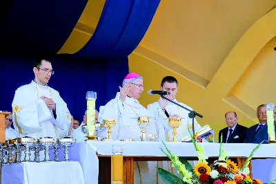 W niedzielę 25.08.2019 r. przy Katedrze Rzeszowskiej odbyły się Dożynki Diecezjalne. Do Parku Papieskiego przyjechało 73 delegacje z wieńcami dożynkowymi. fot. Andrzej Kotowicz