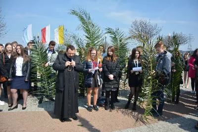 W Niedzielę Palmową młodzież diecezji rzeszowskiej modliła się z bp. Janem Wątrobą w Rzeszowie.  Rzeszowskie spotkanie rozpoczęło się o godz. 11.00 przy obelisku w centrum Parku Papieskiego. Tam odbył się konkurs na najdłuższą palmę, który prowadził ks. Krzysztof Golas, diecezjalny duszpasterz młodzieży. Najdłuższe palmy przekraczały 10 metrów wysokości.  Na placu przed katedrą odbyła się pierwsza część liturgii Niedzieli Palmowej, podczas której zebrani wysłuchali Ewangelię o wjeździe Jezusa do Jerozolimy, a bp Wątroba pobłogosławił palmy.  Już w katerze odbyła się Msza św., której przewodniczył biskup rzeszowski. Eucharystię koncelebrowało ponad dwudziestu księży, głównie duszpasterze młodzieży.  fot. Andrzej Kotowicz, Olga Cyburt