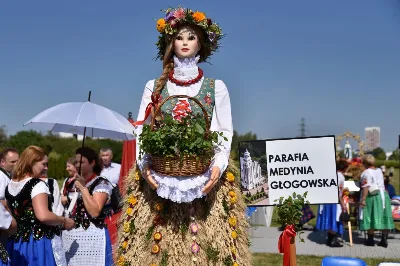 30 sierpnia 2020 r. do Parku Papieskiego w Rzeszowie na diecezjalne dożynki przyjechało 49 delegacji z dożynkowymi wieńcami.  Już o godz. 11.00 plac przed znajdującą się w Parku Papieskim sceną wypełniły delegacje z parafii diecezji rzeszowskiej. W sumie zarejestrowano 49 delegacje. Tegoroczną obsługę dożynek, w tym przygotowanie liturgii, zapewnili wierni i duszpasterze z dekanatu Sokołów Małopolski. O godz. 11.30 prof. Kazimierz Ożóg, mieszkaniec Górna, zaprezentował kilka myśli na temat chleba i godności pracy rolnika. Na scenie wystąpił zespół „Młody Duch i Przyjaciele” kierowany przez Dariusza Kosaka. Przed rozpoczęciem Mszy św. ks. Jerzy Uchman, diecezjalny duszpasterz rolników, przywitał przybyłych do Rzeszowa rolników, ogrodników, sadowników i pszczelarzy, wśród nich starostów dożynek Jerzego i Zofię Bednarzów z Kamienia, a także obecnych na Mszy św. parlamentarzystów, władze państwowe i samorządowe, służby mundurowe oraz poczty sztandarowe. Mszy św. przewodniczył bp Edward Białogłowski. W koncelebrze uczestniczył bp Kazimierz Górny oraz czternastu księży. W długiej procesji z darami do ołtarza podeszły delegacje wszystkich obecnych parafii przynosząc chleby i owoce. Dary te zostały przekazane Rzeszowskiemu Towarzystwu Pomocy im. św. Brata Alberta. Na zakończenie liturgii bp Białogłowski pobłogosławił przyniesione płody ziemi oraz ziarno na zasiew. Po błogosławieństwie poszczególne delegacje, przedstawiane przez ks. Jana Szczupaka, wikariusza biskupiego ds. społecznych, prezentowały swoje wieńce.  fot. ks. Tomasz Nowak