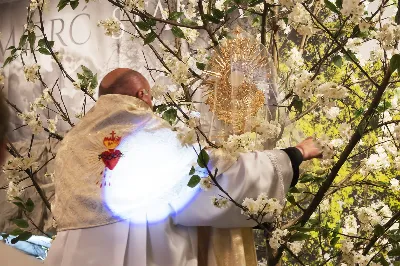 W Wielki Piątek 15.04.2022 r. w Katedrze Rzeszowskiej Liturgii na cześć Męki Pańskiej przewodniczył bp Jan Wątroba.
Mękę naszego Pana Jezusa Chrystusa według świętego Jana śpiewali:
ks. Julian Wybraniec - Jezus
Karol Baraniewicz - Ewangelista
ks. Szczepan Węglowski - Inni
Chór WSD Rzeszów pod dyrekcją ks. dra Andrzeja Widaka
fot. Joanna Prasoł