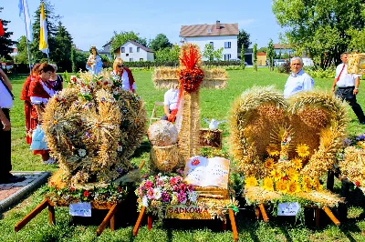 W niedzielę 25.08.2019 r. przy Katedrze Rzeszowskiej odbyły się Dożynki Diecezjalne. Do Parku Papieskiego przyjechało 73 delegacje z wieńcami dożynkowymi. fot. Andrzej Kotowicz