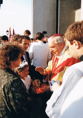 Figura Matki Bożej Fatimskiej została sprowadzona do kościoła Najświętszego Serca Pana Jezusa w Rzeszowie (od 1992 r. katedry) w 1982 r. z Fatimy. Koronacja figury odbyła się 13 czerwca 1993 r. Koronacji dokonał bp Kazimierz Górny wspólnie z bp. Julianem Groblickim i bp. Edwardem Białogłowskim. 