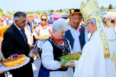 W niedzielę 25.08.2019 r. przy Katedrze Rzeszowskiej odbyły się Dożynki Diecezjalne. Do Parku Papieskiego przyjechało 73 delegacje z wieńcami dożynkowymi. fot. Andrzej Kotowicz