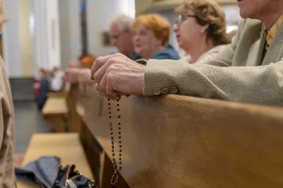 W poniedziałek 13 czerwca miało miejsce kolejne w tym roku uroczyste Nabożeństwo Fatimskie. O godz. 18.40 zostały przedstawione prośby i podziękowania do Matki Bożej Fatimskiej, w intencji których sprawowana była także Msza Święta o godz. 19.00. Eucharystii przewodniczył i homilię wygłosił ks. Tadeusz Pindara. Po Mszy Świętej ks. Tomasz Bać wraz z parafianami parafii Bożego Miłosierdzia przewodniczyli modlitwie różańcowej przy figurze Matki Bożej Fatimskiej. Nabożeństwo zakończył Apel Jasnogórski. Dziękujemy parafii pw. Matki Bożej Częstochowskiej w Rzeszowie (Drabinianka) za przygotowanie liturgii oraz parafii pw. Miłosierdzia Bożego (Biała) za prowadzenie modlitwy różańcowej. fot. Joanna Prasoł