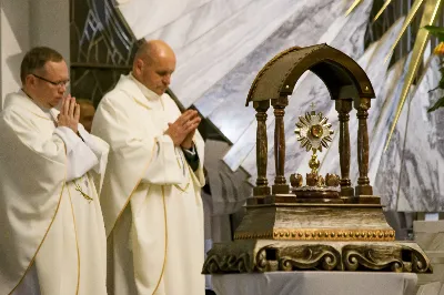 W niedzielę 13 października przeżywaliśmy uroczyste Nabożeństwo Fatimskie z udziałem WSD w Rzeszowie. Mszy Świętej przewodniczył i homilię wygłosił ks. Krystian Winiarski - prefekt WSD. O godz. 18.40 zostały przedstawione prośby i podziękowania do Matki Bożej Fatimskiej, w intencji których sprawowana była także Msza Święta. Po Mszy Świętej wyruszyła procesja z figurą Matki Bożej i relikwiami świętych Dzieci Fatimskich. Nabożeństwo zakończył Apel Jasnogórski. fot. ks. Tomasz Nowak, Joanna Prasoł