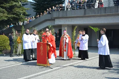 W Niedzielę Palmową młodzież diecezji rzeszowskiej modliła się z bp. Janem Wątrobą w Rzeszowie.  Rzeszowskie spotkanie rozpoczęło się o godz. 11.00 przy obelisku w centrum Parku Papieskiego. Tam odbył się konkurs na najdłuższą palmę, który prowadził ks. Krzysztof Golas, diecezjalny duszpasterz młodzieży. Najdłuższe palmy przekraczały 10 metrów wysokości.  Na placu przed katedrą odbyła się pierwsza część liturgii Niedzieli Palmowej, podczas której zebrani wysłuchali Ewangelię o wjeździe Jezusa do Jerozolimy, a bp Wątroba pobłogosławił palmy.  Już w katerze odbyła się Msza św., której przewodniczył biskup rzeszowski. Eucharystię koncelebrowało ponad dwudziestu księży, głównie duszpasterze młodzieży.  fot. Andrzej Kotowicz, Olga Cyburt