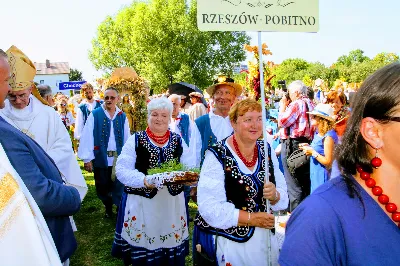 W niedzielę 25.08.2019 r. przy Katedrze Rzeszowskiej odbyły się Dożynki Diecezjalne. Do Parku Papieskiego przyjechało 73 delegacje z wieńcami dożynkowymi. fot. Andrzej Kotowicz