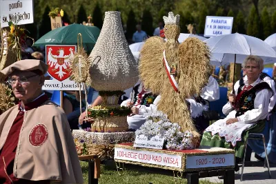 30 sierpnia 2020 r. do Parku Papieskiego w Rzeszowie na diecezjalne dożynki przyjechało 49 delegacji z dożynkowymi wieńcami.  Już o godz. 11.00 plac przed znajdującą się w Parku Papieskim sceną wypełniły delegacje z parafii diecezji rzeszowskiej. W sumie zarejestrowano 49 delegacje. Tegoroczną obsługę dożynek, w tym przygotowanie liturgii, zapewnili wierni i duszpasterze z dekanatu Sokołów Małopolski. O godz. 11.30 prof. Kazimierz Ożóg, mieszkaniec Górna, zaprezentował kilka myśli na temat chleba i godności pracy rolnika. Na scenie wystąpił zespół „Młody Duch i Przyjaciele” kierowany przez Dariusza Kosaka. Przed rozpoczęciem Mszy św. ks. Jerzy Uchman, diecezjalny duszpasterz rolników, przywitał przybyłych do Rzeszowa rolników, ogrodników, sadowników i pszczelarzy, wśród nich starostów dożynek Jerzego i Zofię Bednarzów z Kamienia, a także obecnych na Mszy św. parlamentarzystów, władze państwowe i samorządowe, służby mundurowe oraz poczty sztandarowe. Mszy św. przewodniczył bp Edward Białogłowski. W koncelebrze uczestniczył bp Kazimierz Górny oraz czternastu księży. W długiej procesji z darami do ołtarza podeszły delegacje wszystkich obecnych parafii przynosząc chleby i owoce. Dary te zostały przekazane Rzeszowskiemu Towarzystwu Pomocy im. św. Brata Alberta. Na zakończenie liturgii bp Białogłowski pobłogosławił przyniesione płody ziemi oraz ziarno na zasiew. Po błogosławieństwie poszczególne delegacje, przedstawiane przez ks. Jana Szczupaka, wikariusza biskupiego ds. społecznych, prezentowały swoje wieńce.  fot. ks. Tomasz Nowak