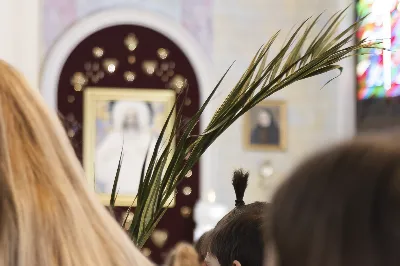 W Niedzielę Palmową uroczystej Mszy Świętej z procesją z palmami przewodniczył ks. Krzysztof Gołąbek - proboszcz Katedry. Po Mszy Świętej odbył się konkurs na najpiękniejszą palmę. Wygrała palma przygotowana przez młodzież z katedralnej Oazy. Choć zwycięzca mógł być tylko jeden, to każda z zaprezentowanych palm została doceniona.  fot. Joanna Prasoł